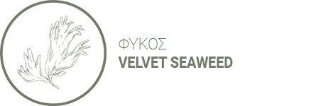 εκχύλισμα φύκους Velvet Seaweed