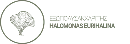 Προέρχεται από το θαλάσσιο μικροοργανισμό Halomonas eurihalina που ζει σε αλυκές. Ανασυγκροτεί την κυτταρική λειτουργία και ομοιόσταση που επιβραδύνονται κατά τη γήρανση, ενισχύοντας την άμεση επικοινωνία και την ανταλλαγή σημάτων μεταξύ των κυττάρων του δέρματος Αναζωογονεί, επαναφέρει την πυκνότητα, εξομαλύνει το ανάγλυφο της επιδερμίδας και βελτιώνει ορατά την εμφάνιση του ώριμου δέρματος.