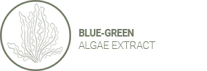 BLUE-GREEN ALGAE EXTRACT (Aphanizomenon flos-aquae) Top anti-wrinkle marine alternative to retinol